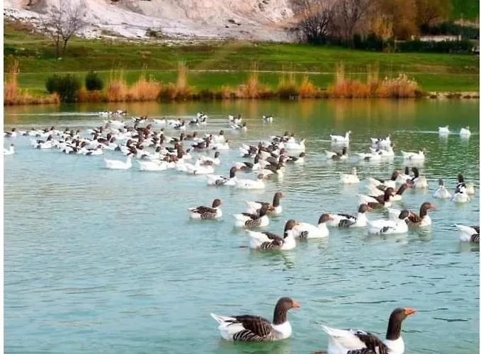 Ξενοδοχείο Akapella