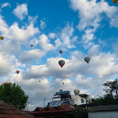 Akapella * 帕莫卡莱